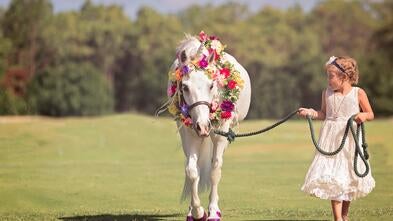 Charlotte s Story Make A Wish Central and Northern Florida